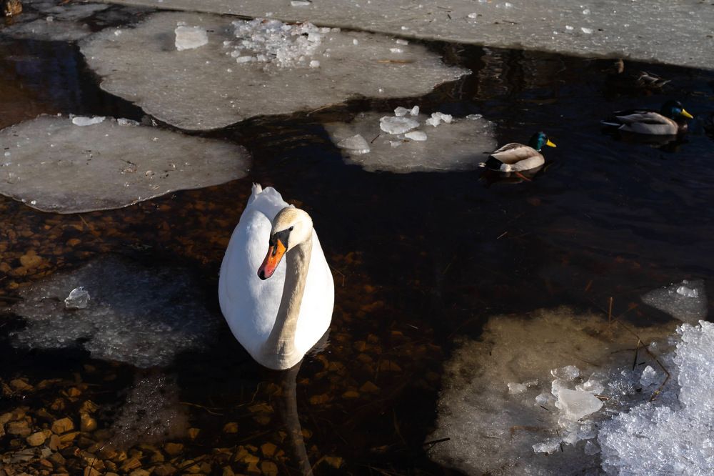 Photograph by Olga Zdančuka