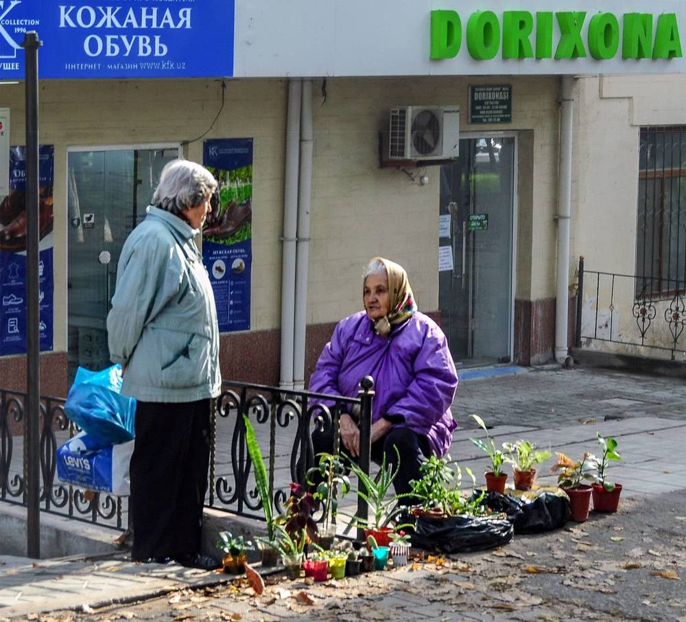 Photograph by  SaidArt