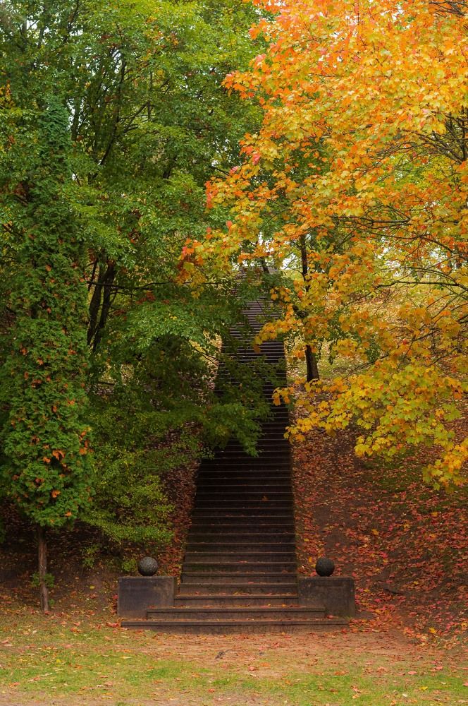 Photograph by Olga Zdančuka