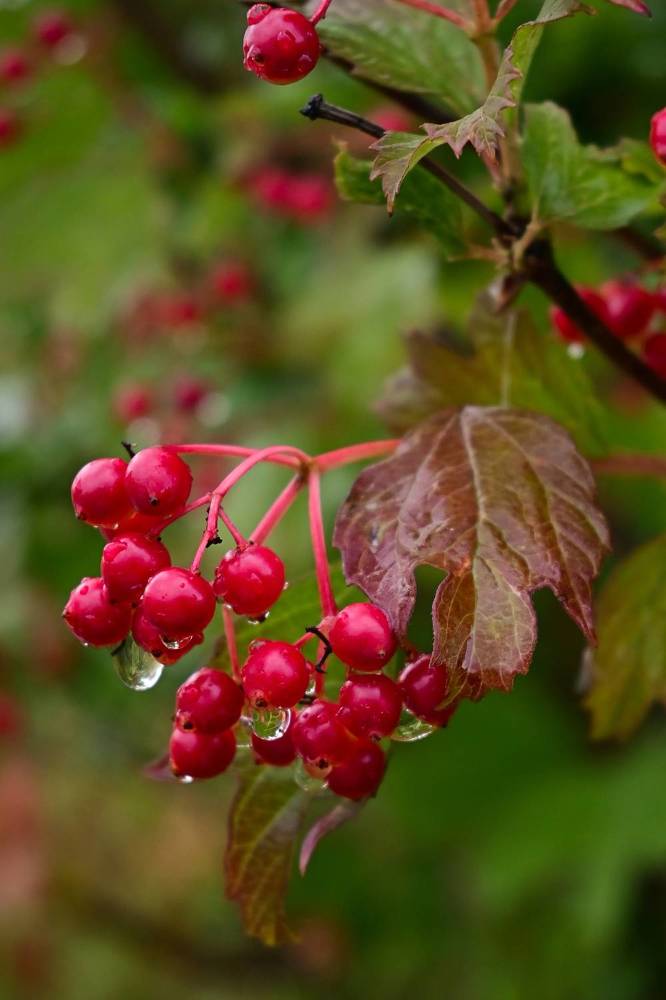 Photograph by Юлия Козельских