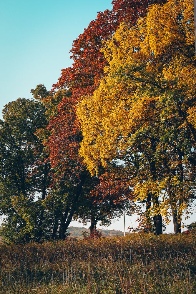 Photograph by Евгения Журавлева