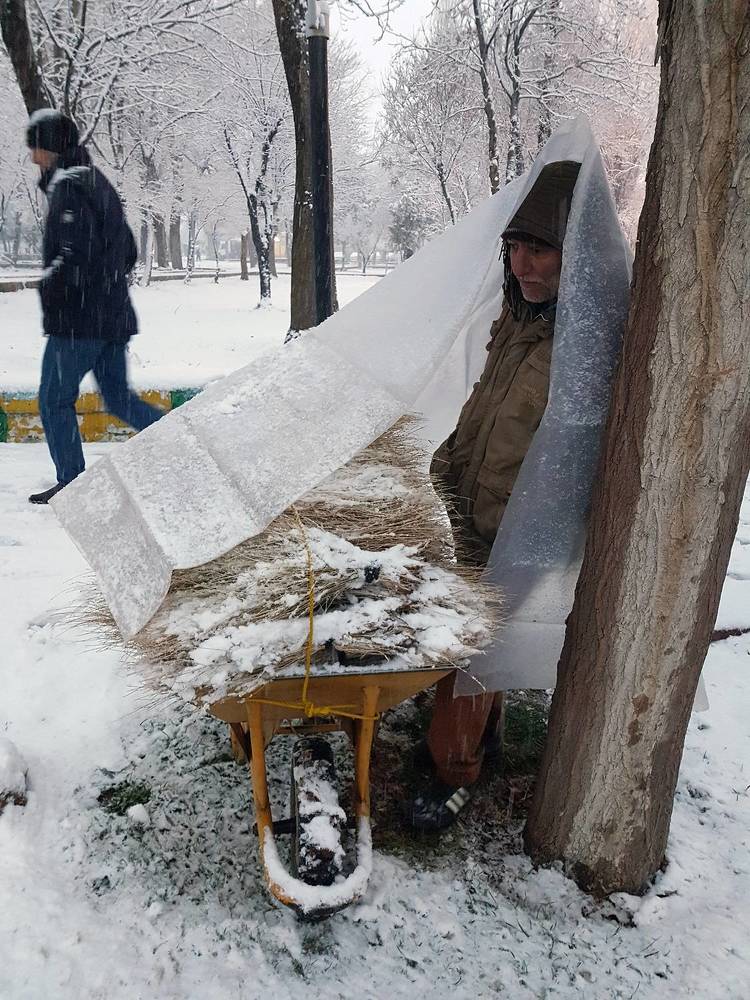 Фотография автора jamshid farajvand
