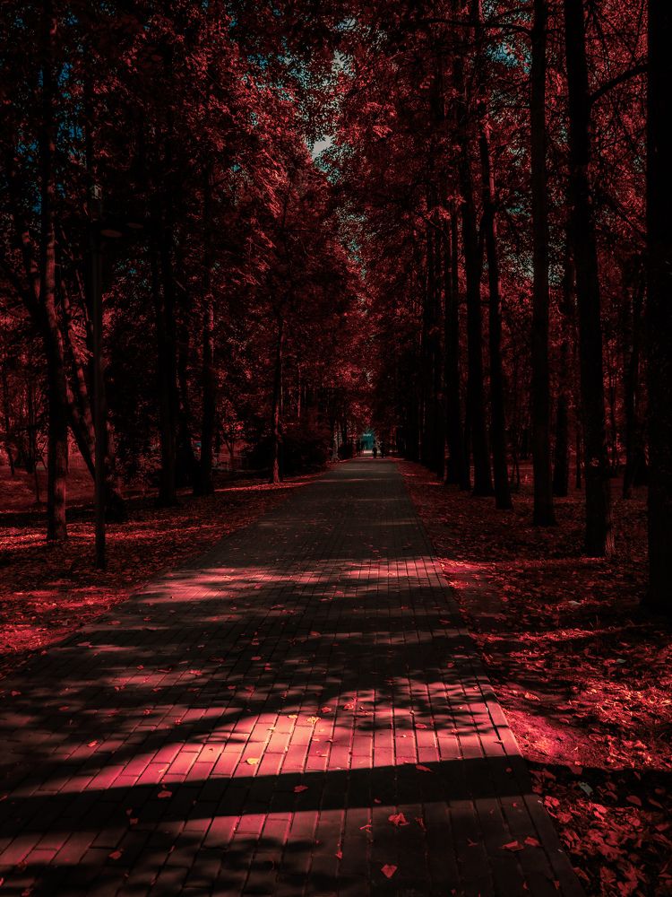 Photograph by Денис Нарышев