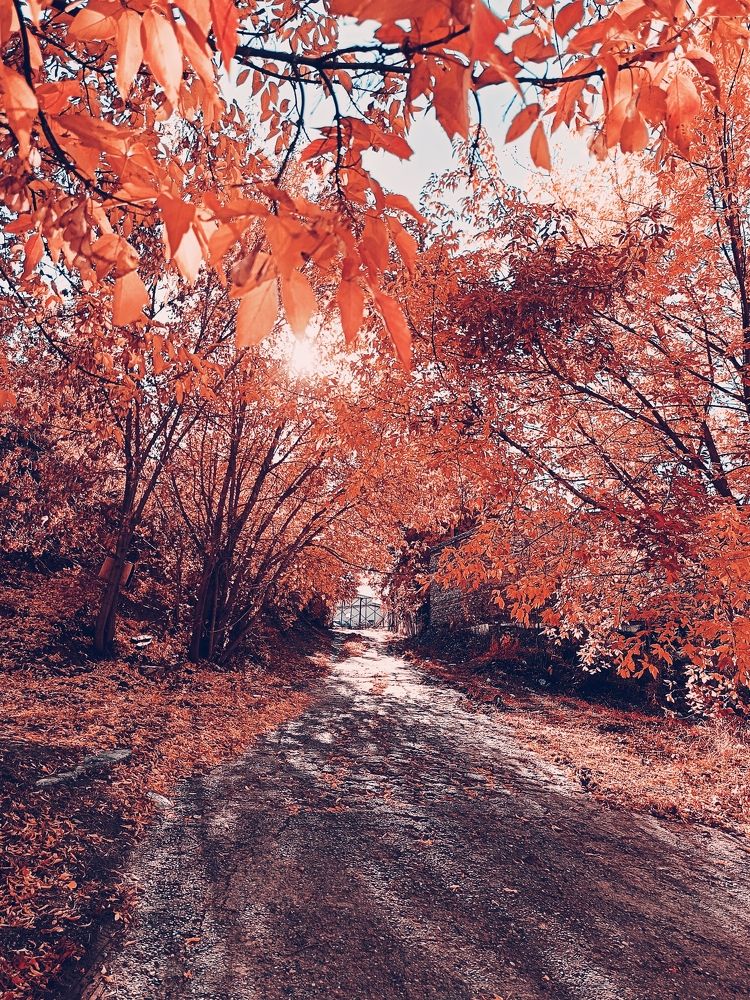 Photograph by Юлия Гагарина