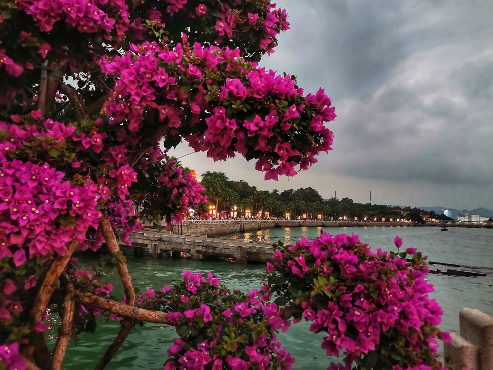 Photograph by Ирина Садовникова