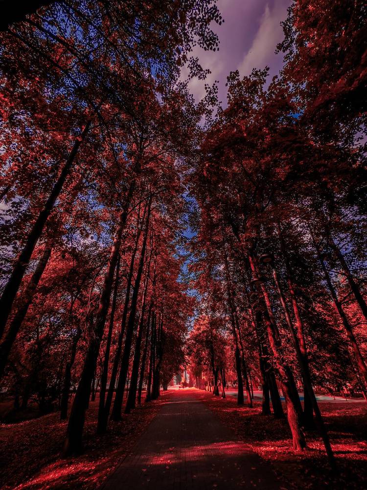 Photograph by Денис Нарышев