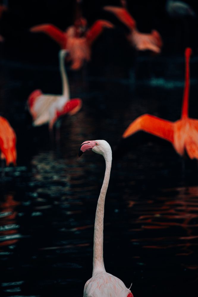 Photograph by Федор Гурьев