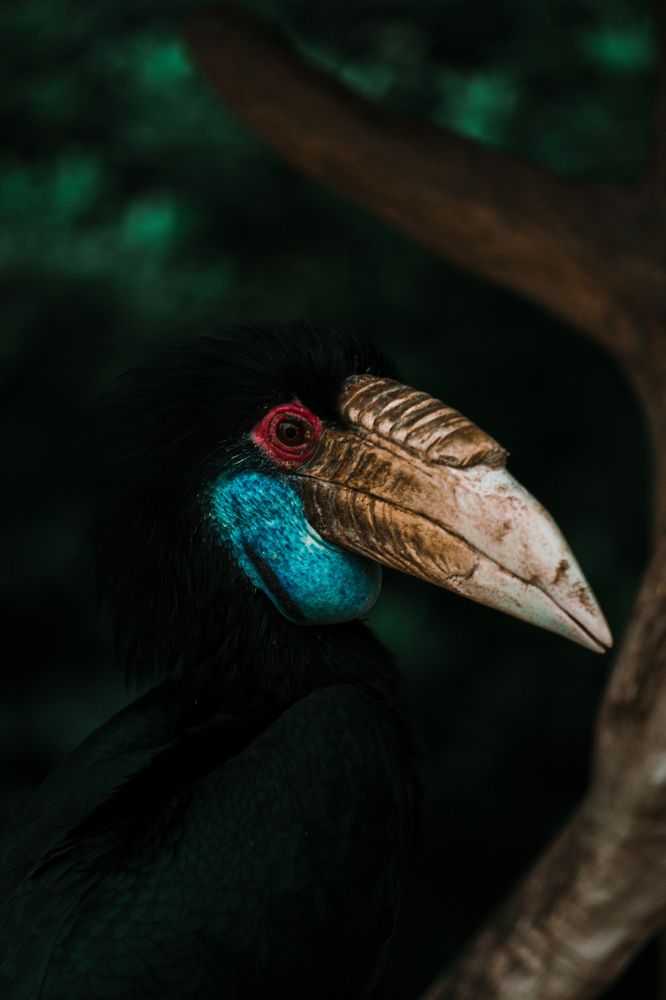 Photograph by Федор Гурьев