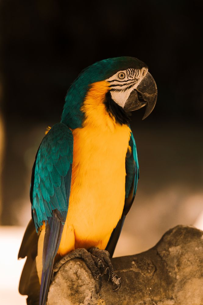 Photograph by Федор Гурьев