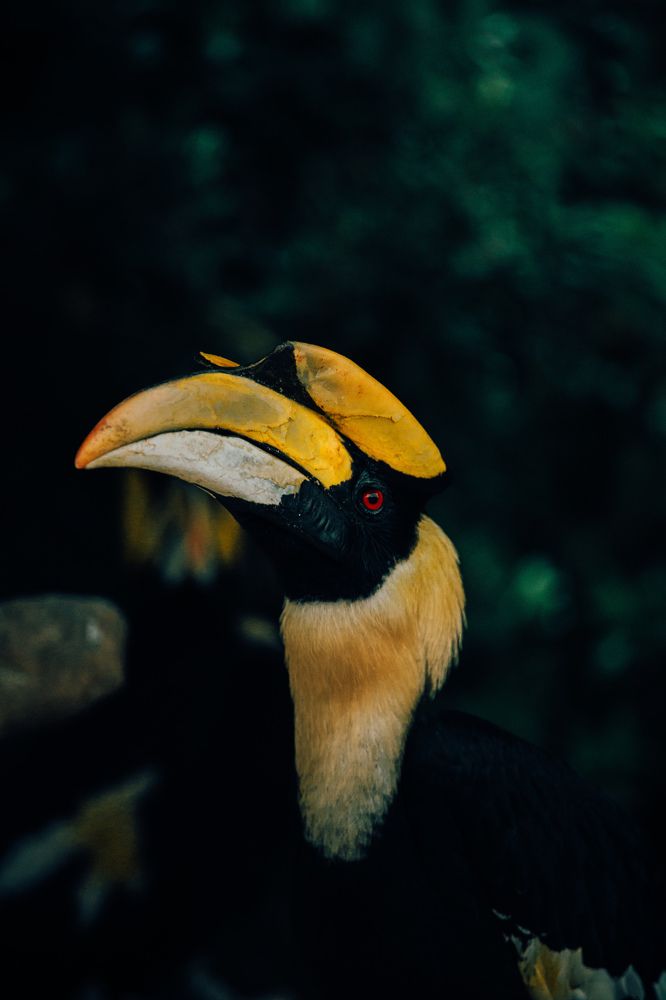 Photograph by Федор Гурьев