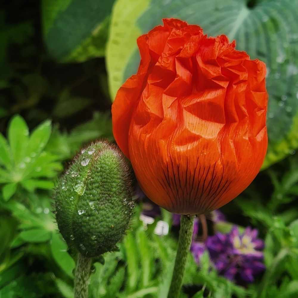 Фотография автора Татьяна Сякина