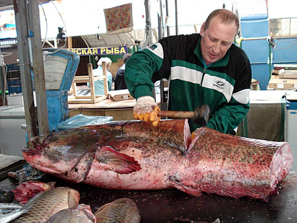 Photograph by София Гавриловна Вотякова