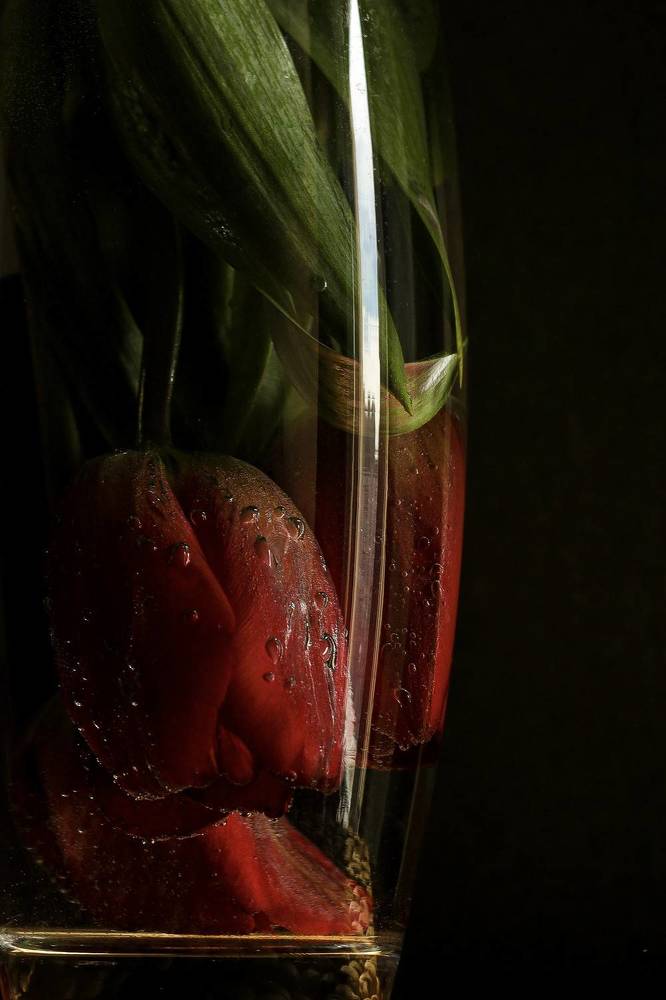 Photograph by Алена Мархель-Дианина