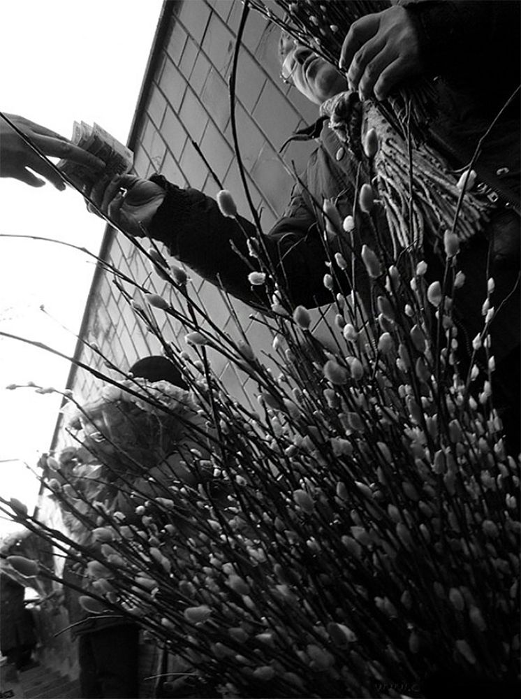 Photograph by Дмитрий Потапов