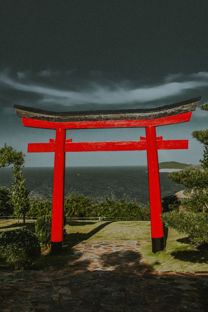 Фотография автора Алиса Исаева