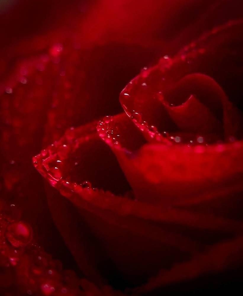 Photograph by Анна Чичилова