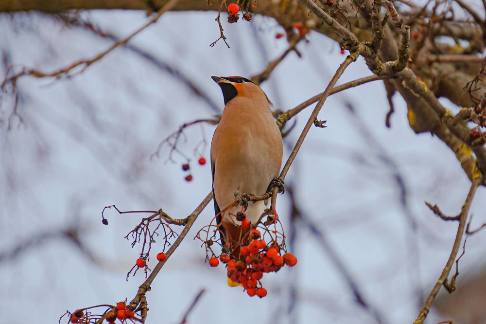 Photograph by Алфия Бугакова