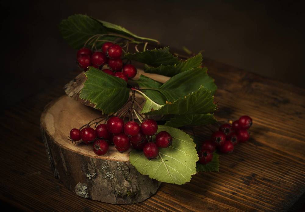 Photograph by Хвойнова Елена