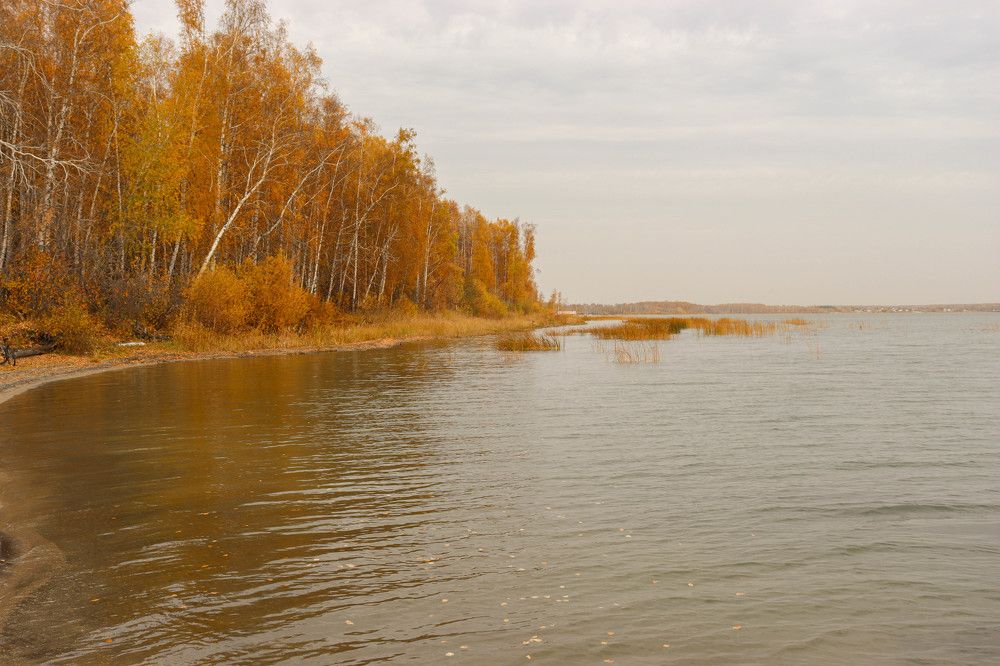 Фотография автора Олеся Юданова