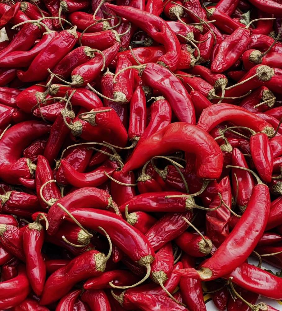 Photograph by Анна Матецкая