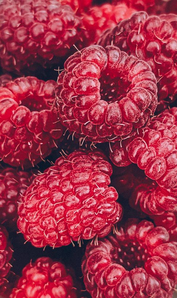 Фотография автора Юлия Якубова