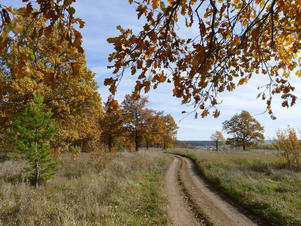 Photograph by Александр Кизим