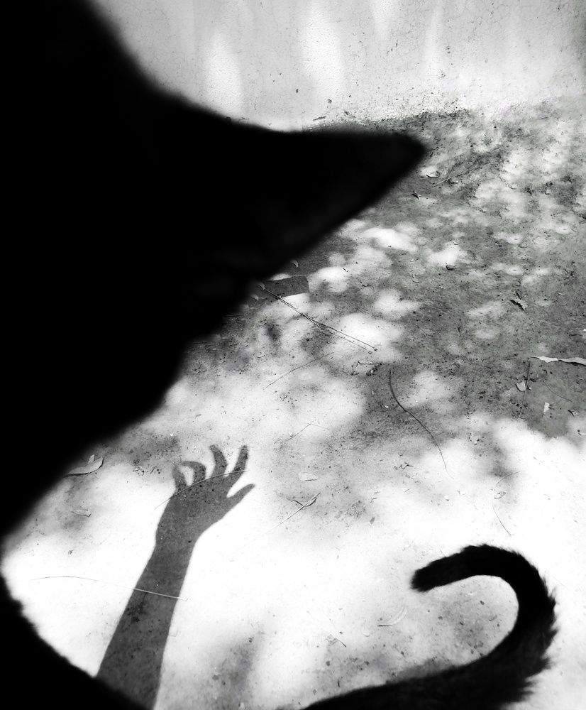 Фотография автора Abhitha