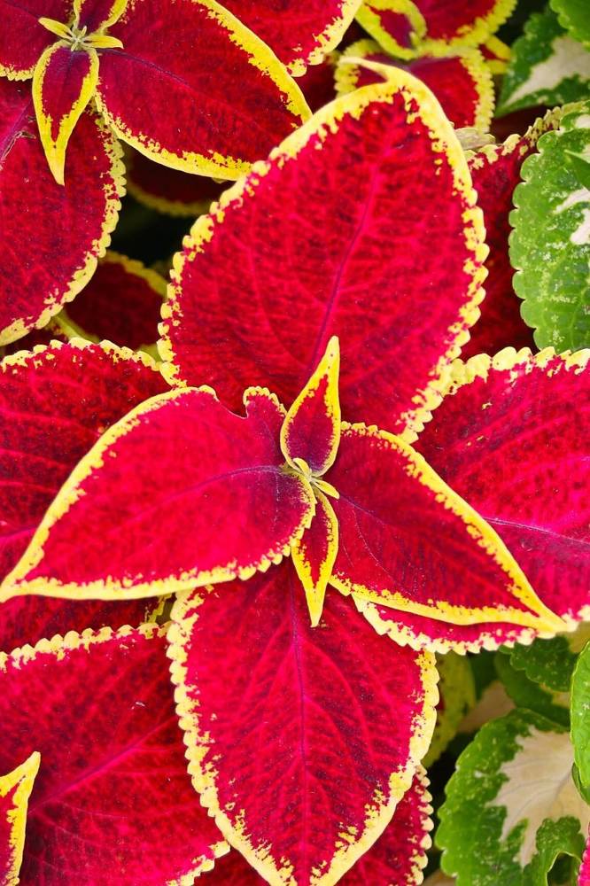 Photograph by Евгений Беленков