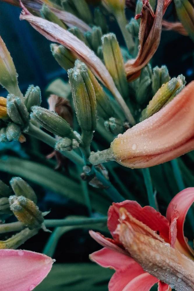 Photograph by Оксана Артемьева