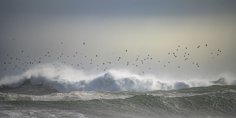 Photograph by Евгений Владимиров