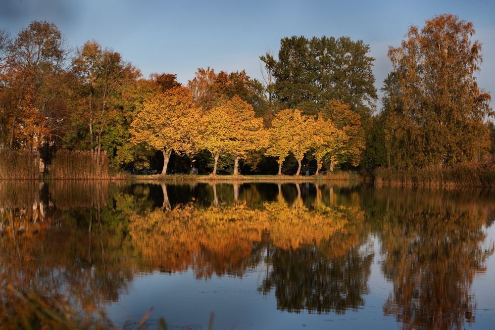 Photograph by Роза Нургалина