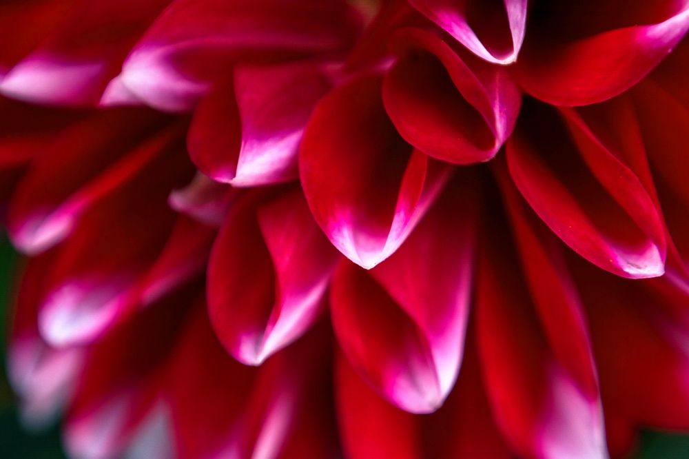 Photograph by Людмила Прибылова