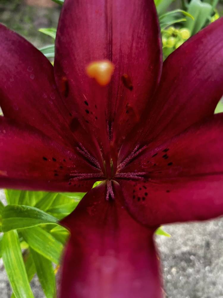 Photograph by Олеся Кузьмичева