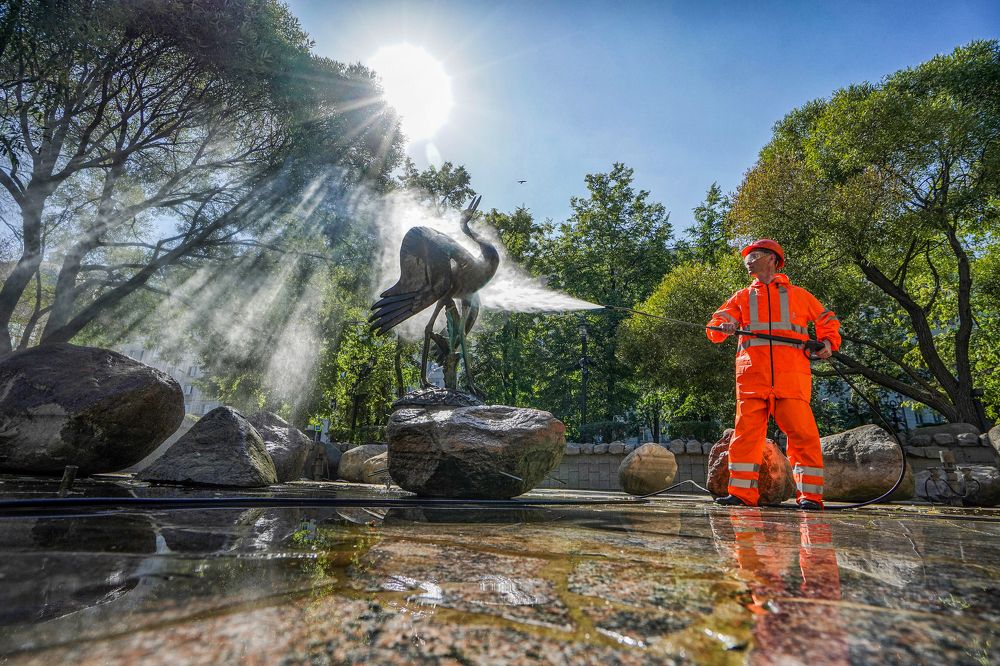 Поющий журавль