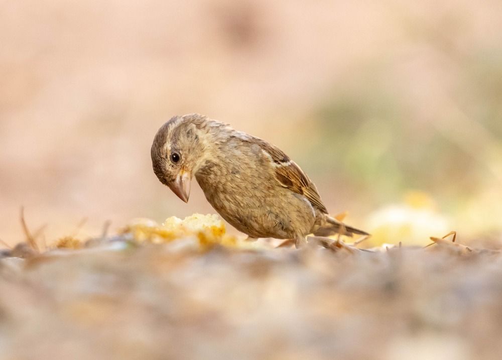 Photograph by Youness Fakoiallah