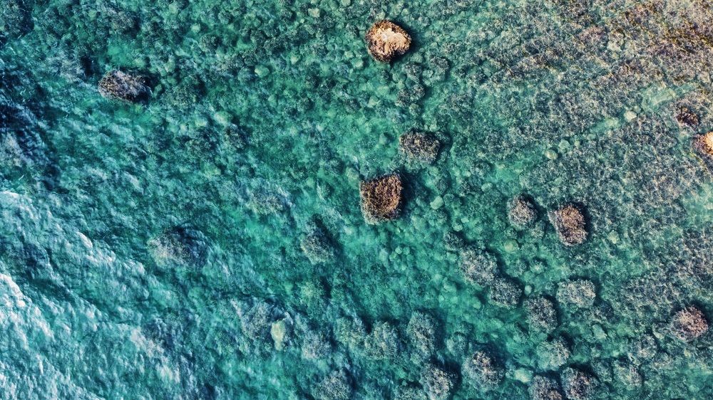 Photograph by Алина Орлова