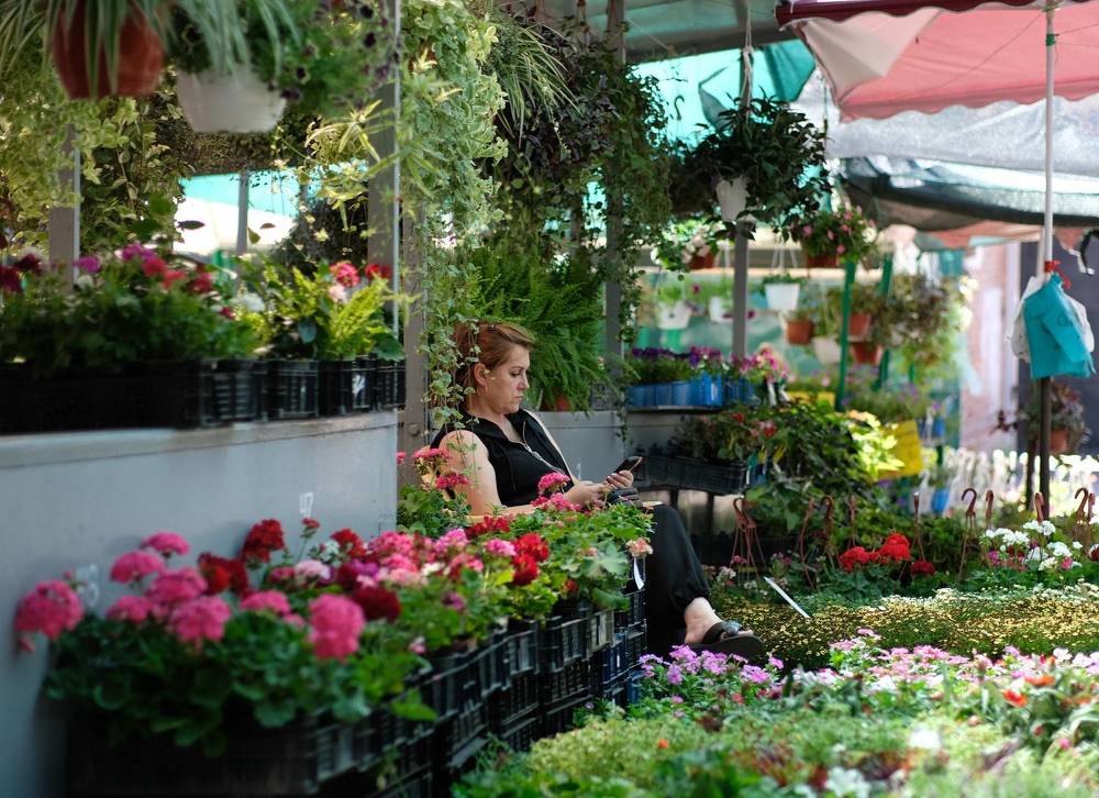 Photograph by Валентина Парфёнова