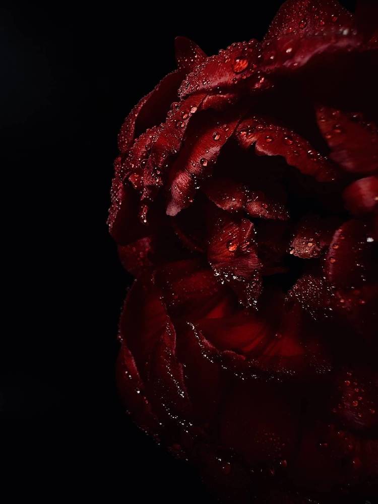 Photograph by Диана Бадеева