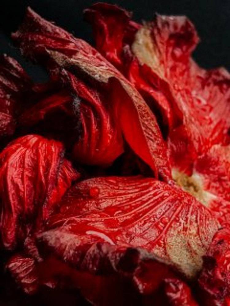 Photograph by Наталия Курнева