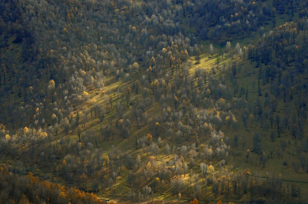 Photograph by Маринова Марина