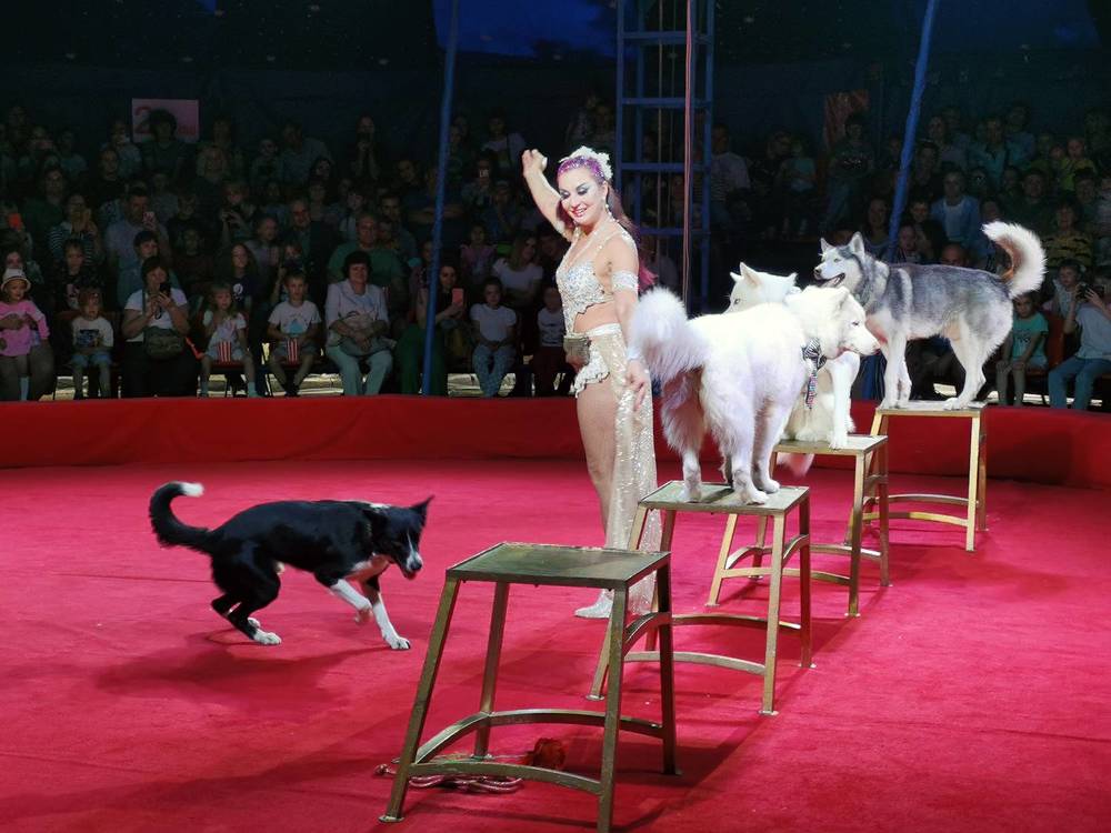 Фотография автора Валерий Цуркан