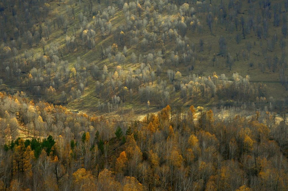 Photograph by Маринова Марина