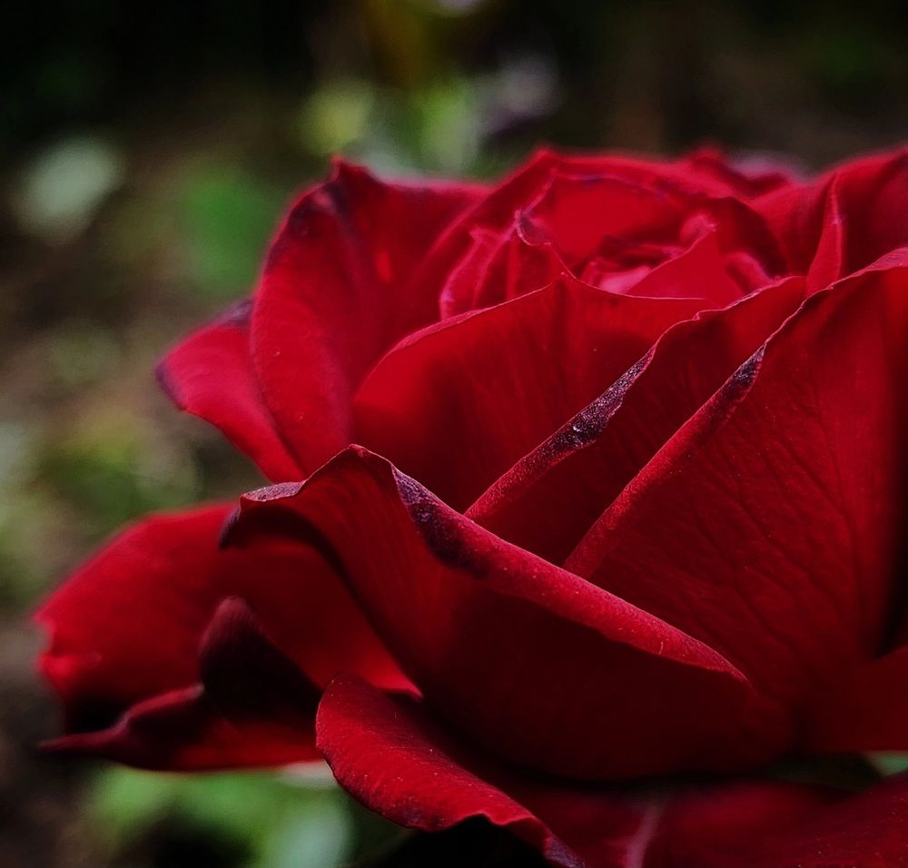 Фотография автора Татьяна Сякина