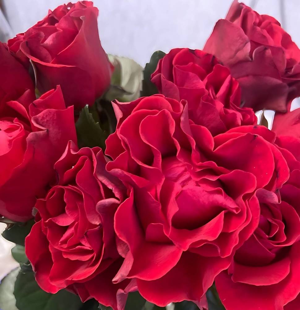 Фотография автора Татьяна Савранчук