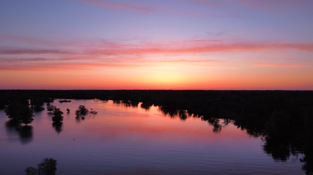 Photograph by Алина Орлова