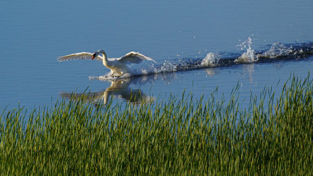 Photograph by Valdis Serzhans