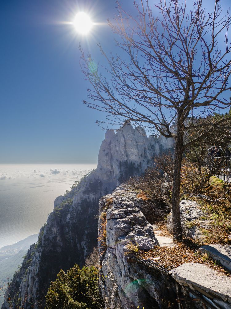 Photograph by Олеся Семенова