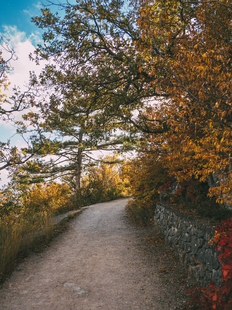 Photograph by Олеся Семенова