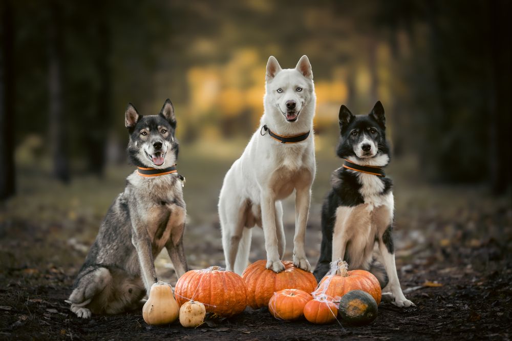 Photograph by Мария Романова