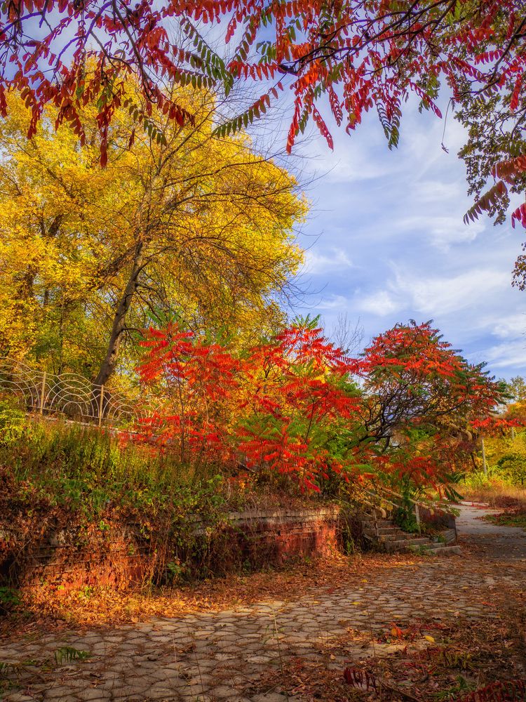 Photograph by Андрей Семенченко
